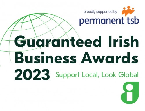 Scatter Box nominated for Guaranteed Irish Business Awards 2023
